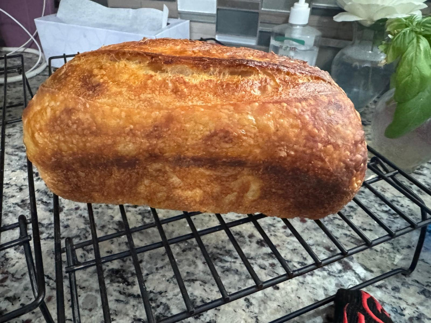 Medium Sourdough Sandwich Bread